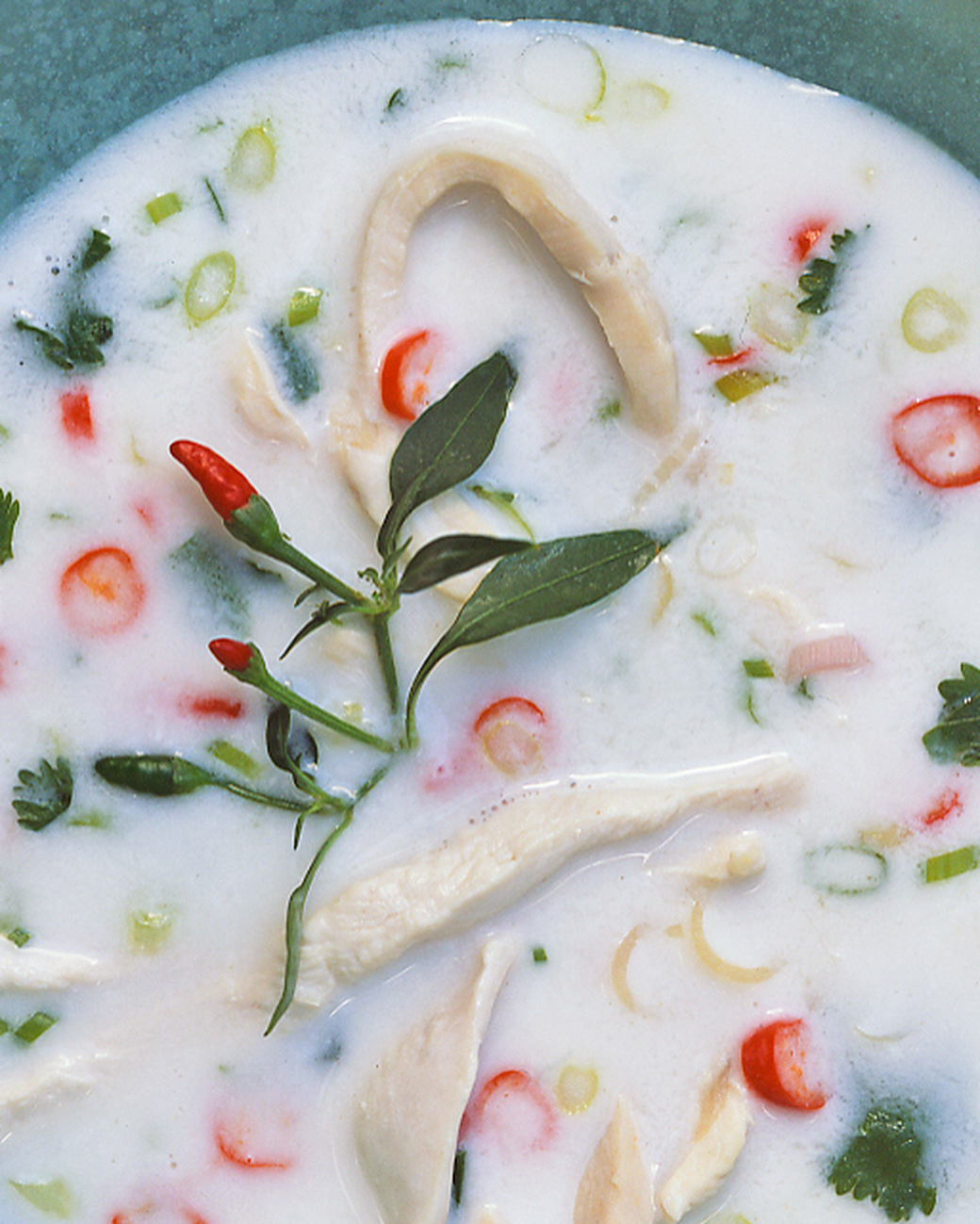 Mad Hungry Recipe: Chicken and Coconut Milk Soup